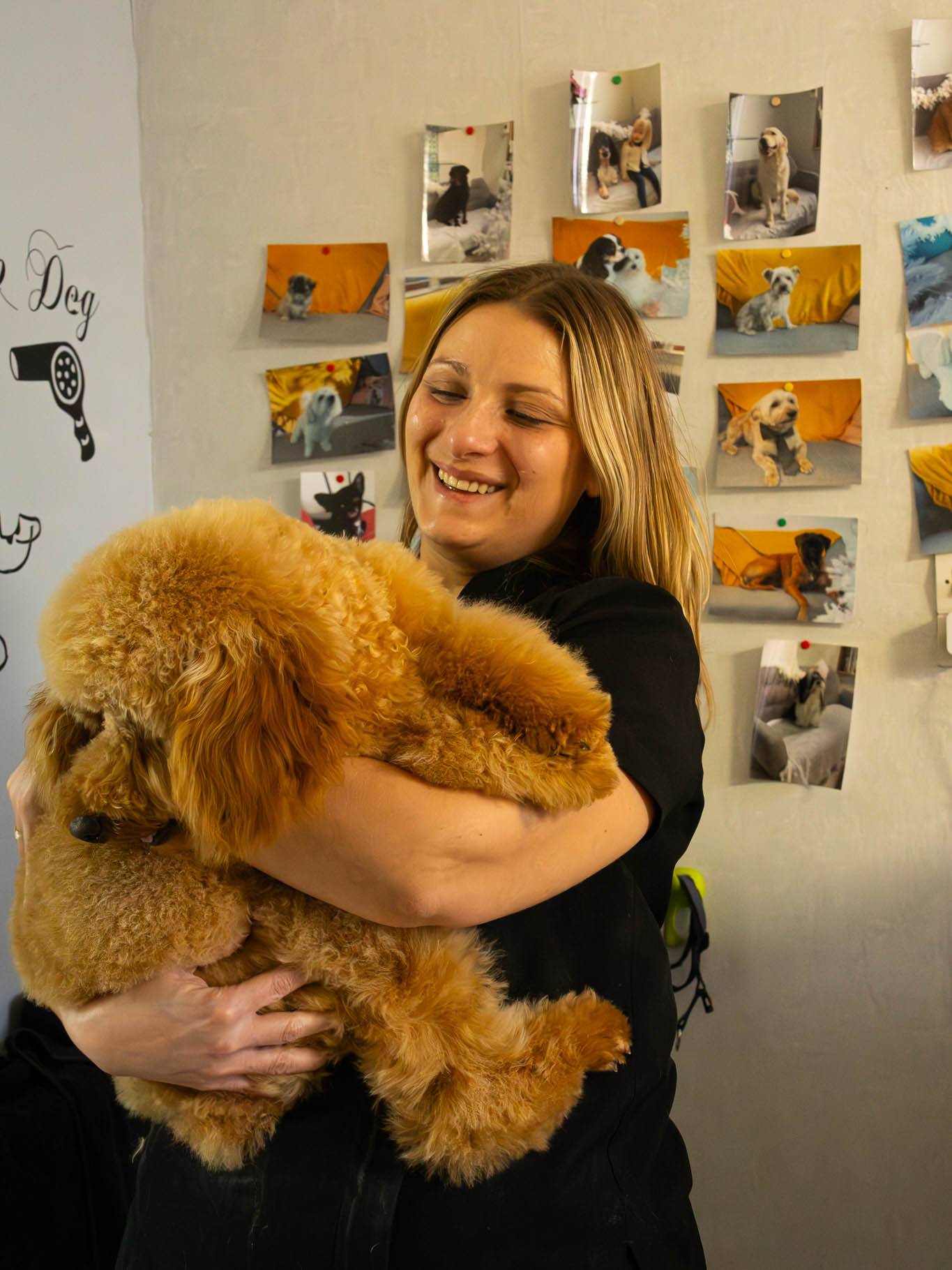 Toilettage Les Aristochiens