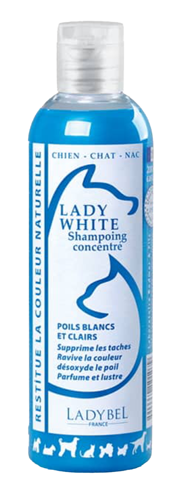 LadyWhite Shampoing concentré